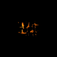 TypeTopiaPrints typyetopiaprints GIF