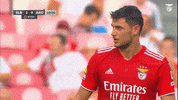 Sl Benfica Yes GIF by Sport Lisboa e Benfica