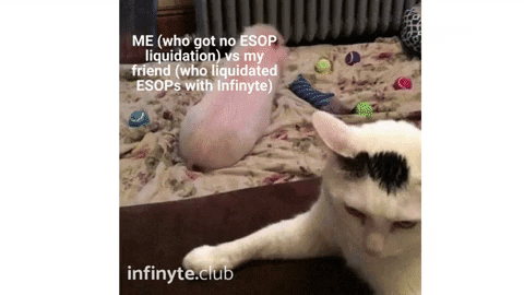 InfinyteClub giphyupload cat money trending GIF