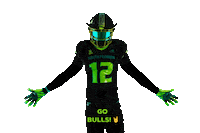 Usf Football Sticker by SoFloBulls