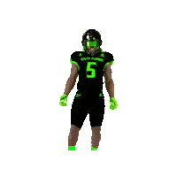 Usf Football Sticker by SoFloBulls