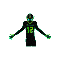 Usf Football Sticker by SoFloBulls