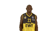 Ewe Baskets Basketball Sticker by EWE Baskets Oldenburg