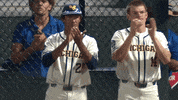 umichathletics clapping paige michiganbaseball kizer GIF