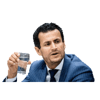 bewegingDENK stem verkiezingen politiek farid Sticker