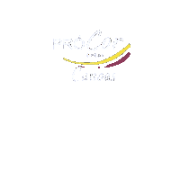 prcorcanoas pró cor tintas pró cor canoas Sticker