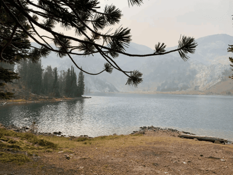 drmichaelpiepkorn giphygifmaker giphyattribution dr michael piepkorn GIF