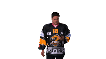 hc_ajoie_officiel hockey switzerland telephone suisse Sticker