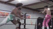 Wrestling Journey GIF