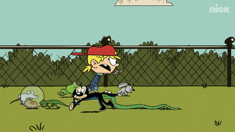 Chasing The Loud House GIF by Nickelodeon