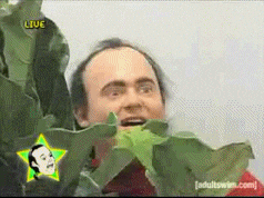 awkward tim and eric awesome show great job GIF