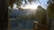 modern family GIF by ABC Network