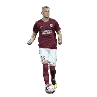 Besim Serbecic Sticker by fksarajevo