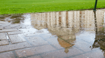 Rain Puddle GIF by Christopher Newport University