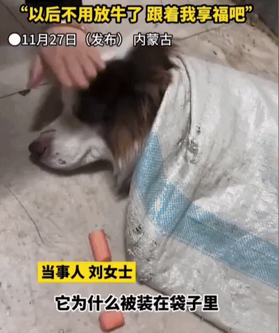 yj_jane giphyupload GIF