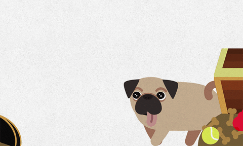 Adopt Animal Rescue GIF by will herring
