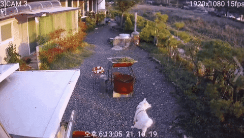 insight_newsroom giphyupload GIF