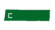 Coritiba Sticker by COXAnautas
