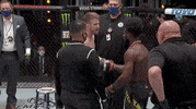 Aljamain Sterling Sport GIF by UFC