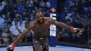 Mixed Martial Arts Sport GIF by UFC