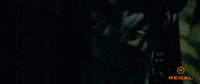 Watching James Cameron GIF by Regal