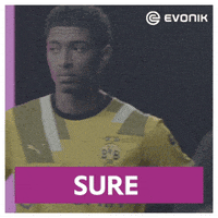 Soccer Bellingham GIF by Evonik
