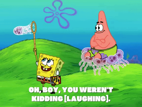 season 6 dear vikings GIF by SpongeBob SquarePants