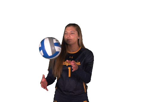 Earn It Uc Berkeley Sticker by Cal Athletics