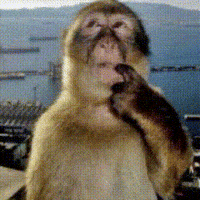 Thinking Pensando GIF