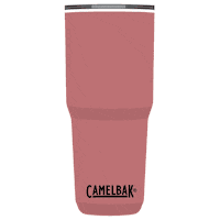 Party Celebrate Sticker by CamelBak