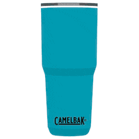 Party Celebrate Sticker by CamelBak