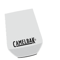 Party Celebrate Sticker by CamelBak