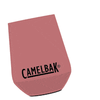 Party Celebrate Sticker by CamelBak
