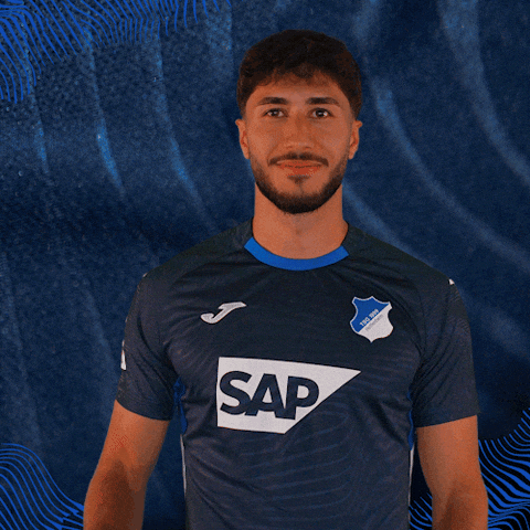 Sport Bundesliga GIF by TSG Hoffenheim