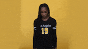 Cal State La Ncaa GIF by Cal State LA Golden Eagles