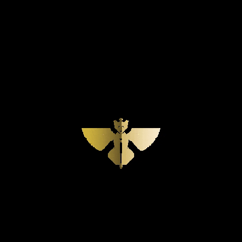 Carakale giphygifmaker beer jordan craftbeer GIF