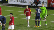 GIF by FOX Sports