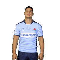 NSWWaratahs rugby rugby union hit the woah waratahs Sticker