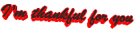 text thanksgiving Sticker