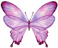 Borboleta Sticker