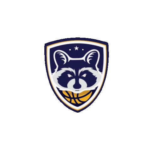 Guaxo Sticker by Basquete Paraná - FPRB