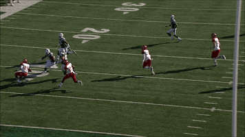 miami university GIF by Miami RedHawks Football
