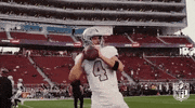 2018 nfl football GIF by NFL