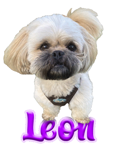 Dog Leon Sticker