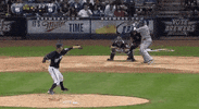 castro GIF