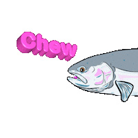 Fish Fishing Sticker by Groovy Great Lakes Flyfishing