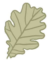Leaf Oak Sticker by Josko Fenster und Türen GmbH