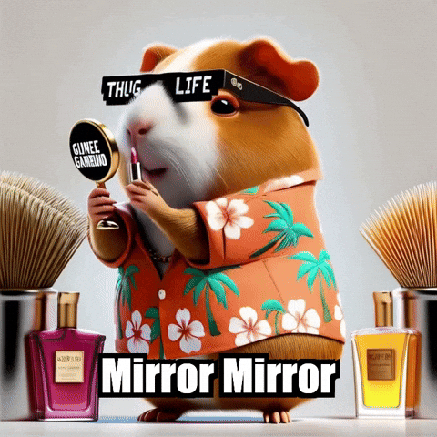 Mirror Mirror Getreadywithme GIF by Guinea Gambino