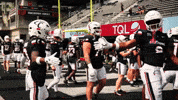 Cincinnati Football GIF by Cincinnati Bearcats