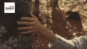 josko_official josko tuer madeinaustria joskomoments GIF